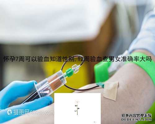 5周香港验血男女_香港验血测男女准嗎,测男女都需要哪些条件