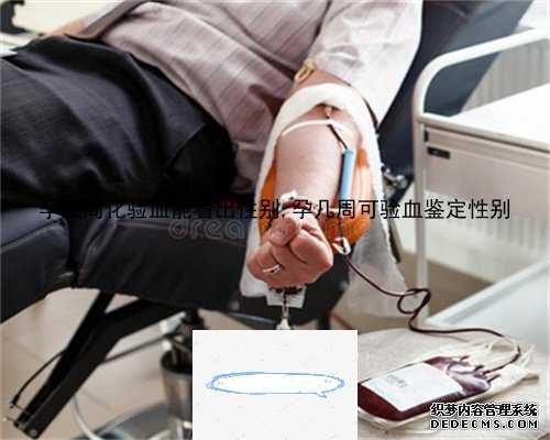 7周验血可以验出性别_等香港验血结果_ 验血