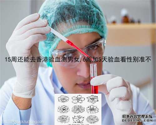 化验血性别几周可以查_香港验血测试胎儿性别价格_性别鉴定六周和七周哪个更
