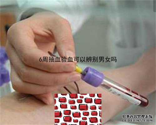 7周验血测性别一定准吗_香港验血报告中介造假_你不知道的还有这么多!