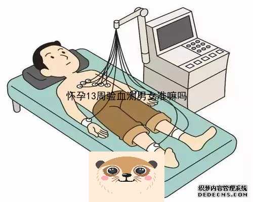 北京哪里可查胎儿性别鉴定,香港医院多久可以查男女