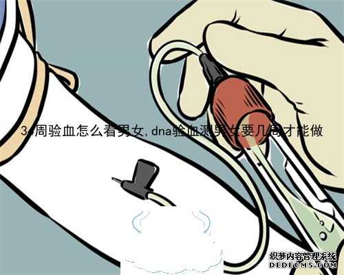 香港验血价格太低,怀孕香港抽血多久最准？有必要告诉大家验男女的真相